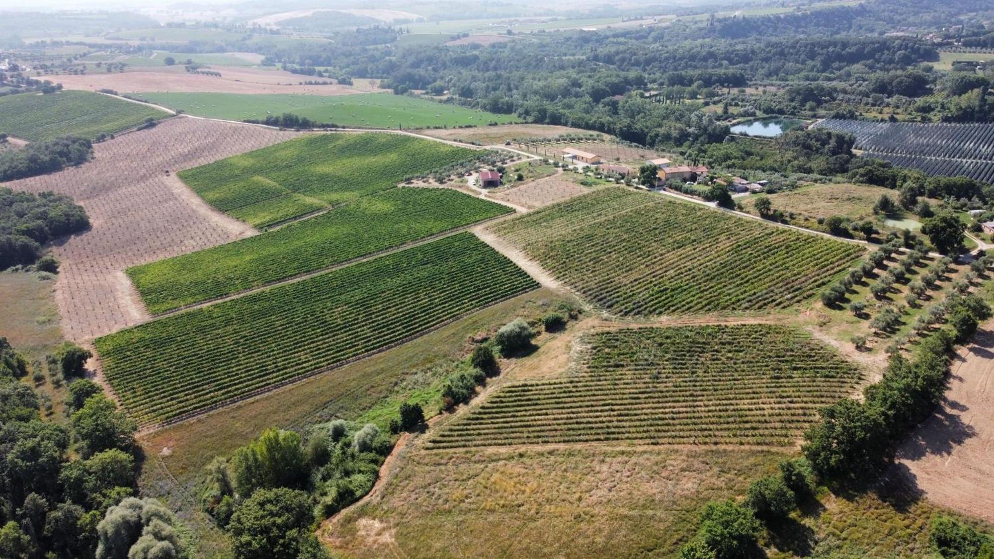 Agriturismo Podere Casa Al Vento Montepulciano Stazione Kültér fotó