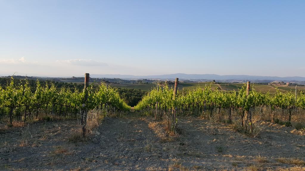 Agriturismo Podere Casa Al Vento Montepulciano Stazione Kültér fotó