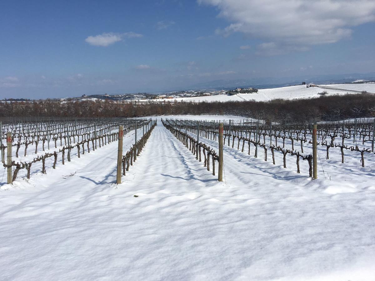 Agriturismo Podere Casa Al Vento Montepulciano Stazione Kültér fotó
