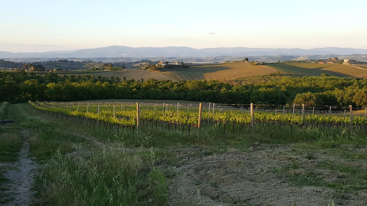 Agriturismo Podere Casa Al Vento Montepulciano Stazione Kültér fotó