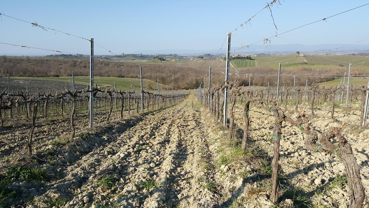 Agriturismo Podere Casa Al Vento Montepulciano Stazione Kültér fotó